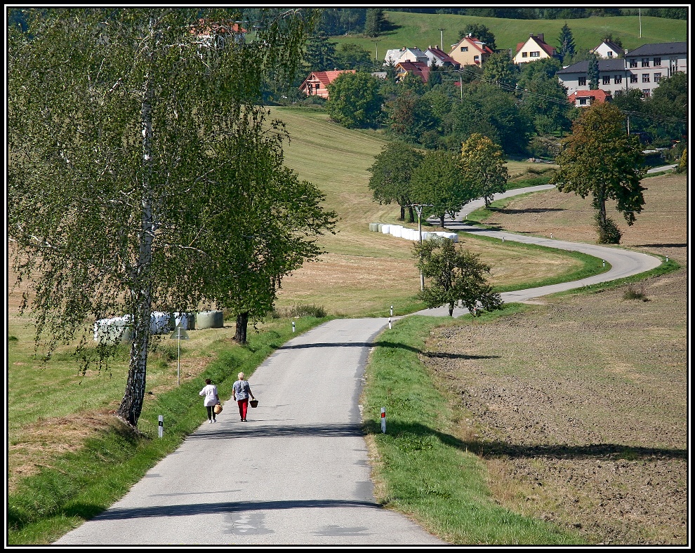 Veselé houbařky