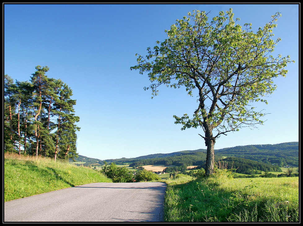 Těsně nad Brlohem