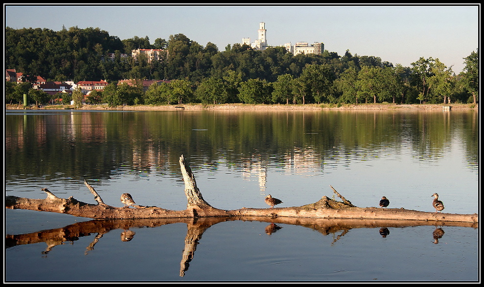 Munický rybník, kachny a zámek Hluboká