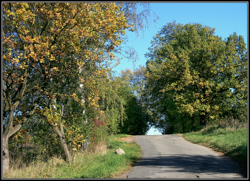 Švábův hrádek