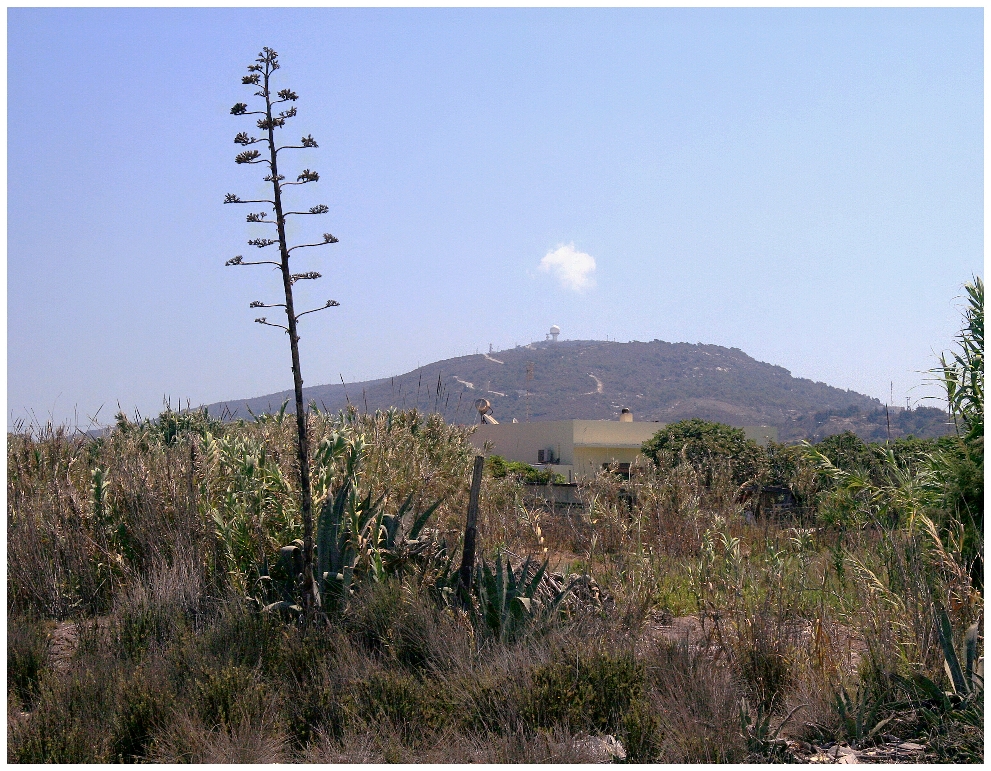 Agave a radar