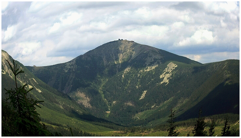 Pro velikost obří zadnice