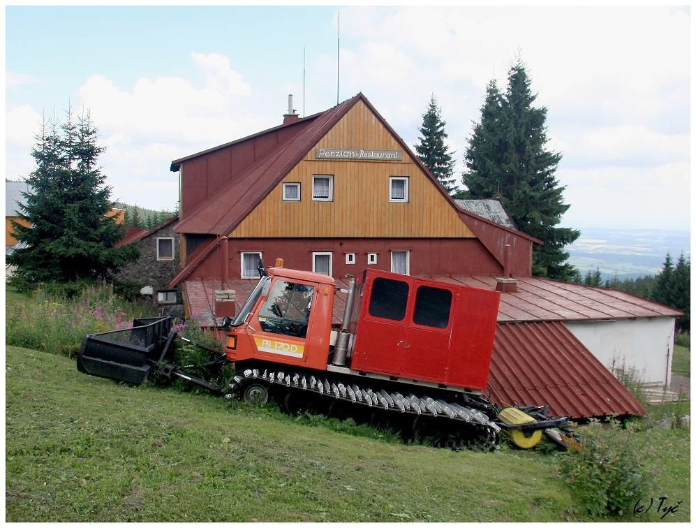 Čekání