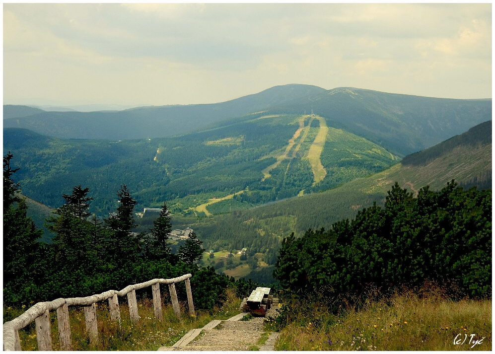 Odrazová lavička