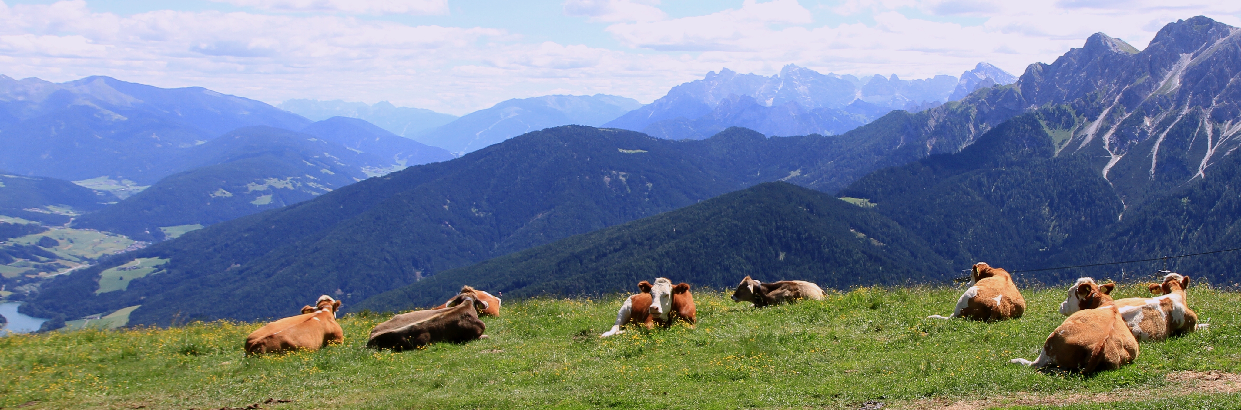 Siesta na alpské vyhlídce