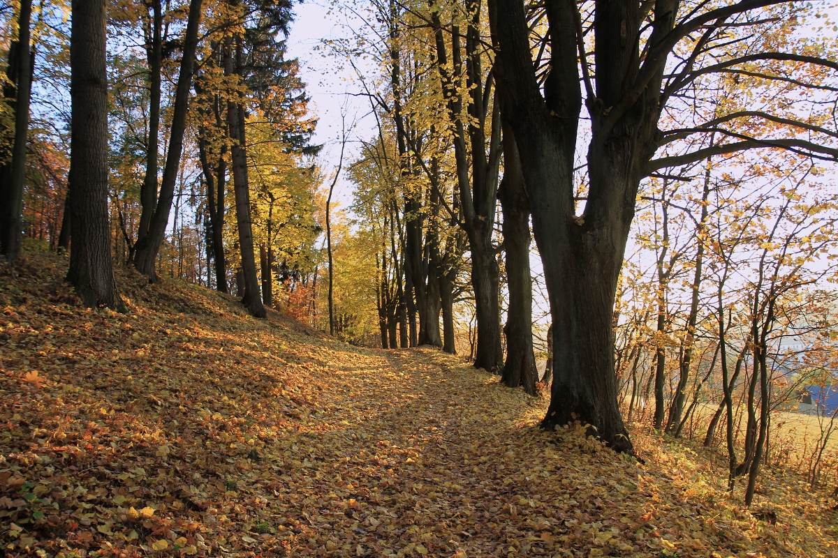 Ještě jednou