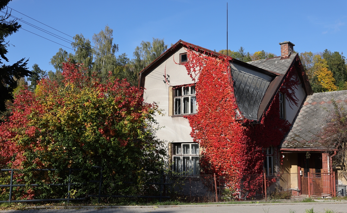 Valteřice u silnice