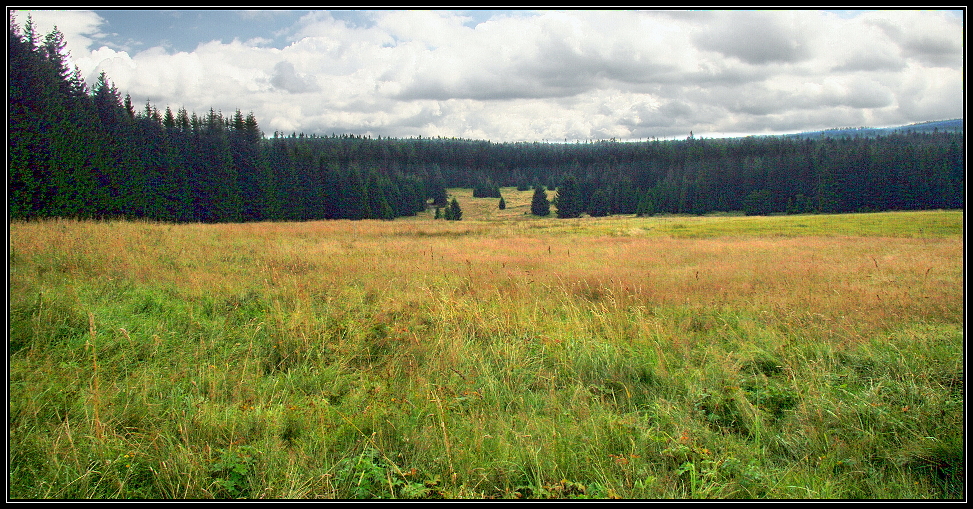 Pohled na oblast Zlaté Studny