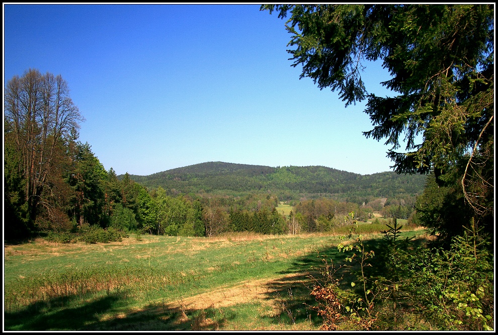 2./ SOKOLČÍ