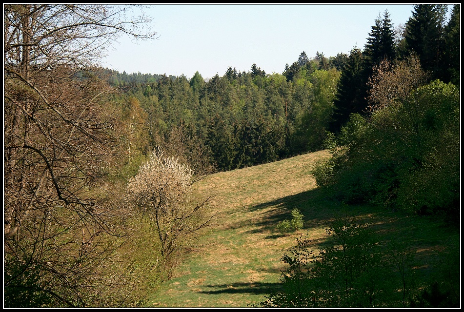 Cesta k Sokolčí