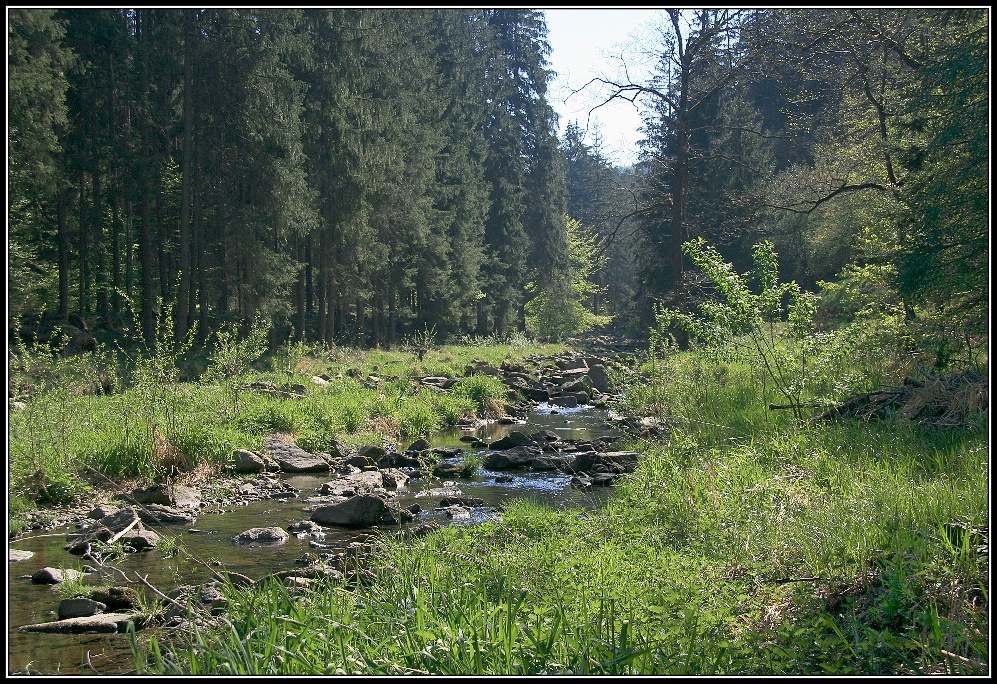 Říčka Černá