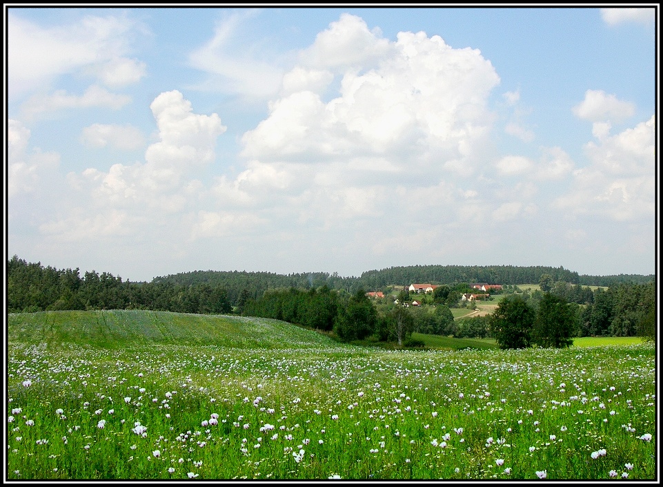 Příjemná krajina